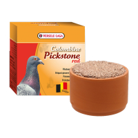 Pickstone